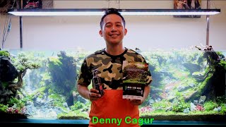 Aquascape Air Terjun Deny Cagur | Part 2 - Planting Full & Penampilan Akhir