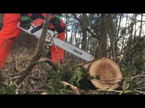 Stihl MS 271 Review