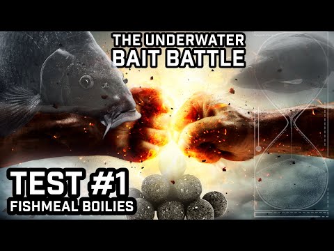 The underwater bait battle #1 - Testing fishmeal boilies (Carp fishing experiment)