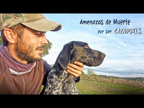 🔥¡NO!🔥 somos asesinos y antes de juzgarnos👉 esto es LA CAZA de Perdiz al Salto 2023