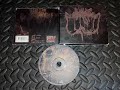 SUBLIME CADAVERIC DECOMPOSITION Sublime Cadaveric Decomposition 2001