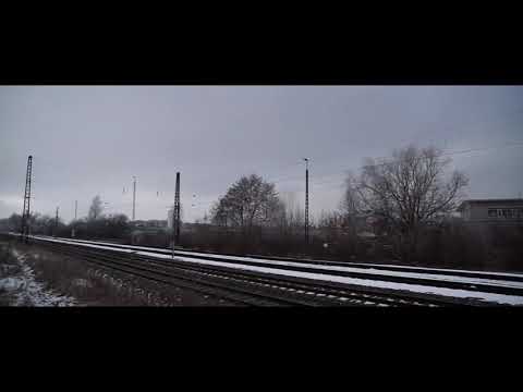 Bear & Rice Master Yen -  Zumindest eine Frage