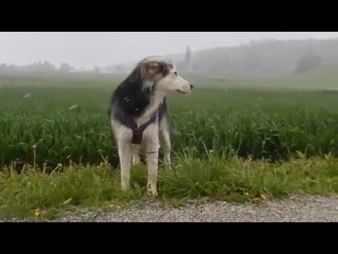 Der April macht was er will...