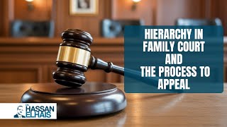 Navigating Family Court Appeals through the Court of First Instance to the Court of Cassation | 2025