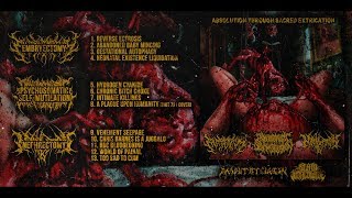 EMBRYECTOMY/PSM/NEPHRECTOMY - ABSOLUTION THROUGH SACRED EXTRICATION [OFFICIAL STREAM] (2018) SW EXCL