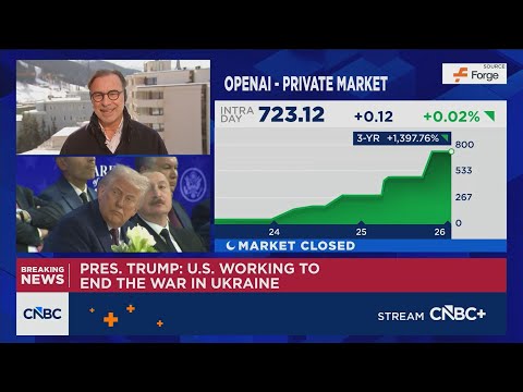 Rodriques: Nineteen of the largest AI companies are still private