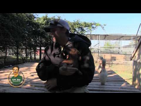 GW Zoo Animal Spotlight - Milo