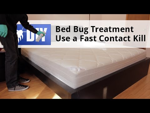  Bed Bug Treatment Step 3D Video 