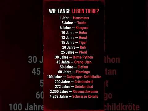 Wie lange leben Tiere wirklich? Die Lebensdauer von Tieren im Vergleich!