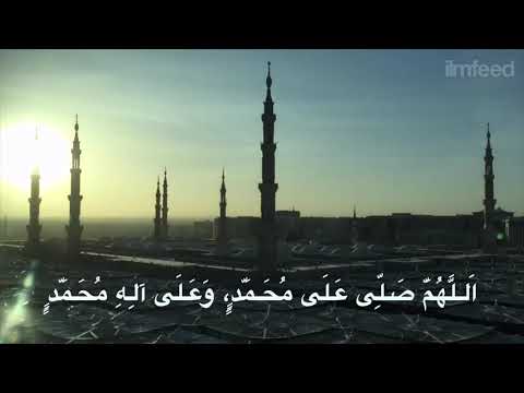 Habibi Ya Rasulullah- Tamer Hosny [LYRICS] (BEST SONG)