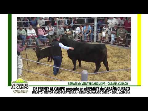 DE FRENTE AL CAMPO junto a CABAÑA CURACO -VIENTRES ANGUS PC-PP-