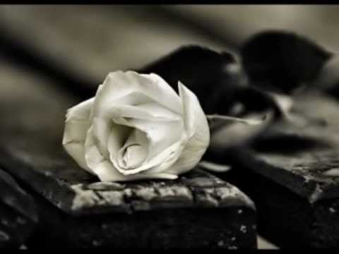 Dilber Altınar Kılıçaslan - Seni Seviyorum