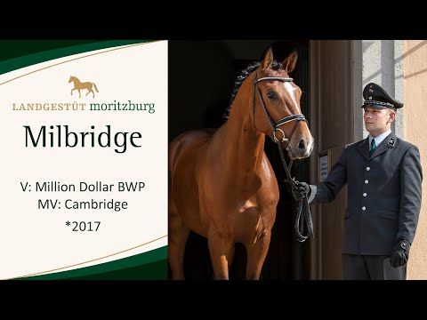MILBRIDGE v. Million Dollar BWP - Cambridge 2023