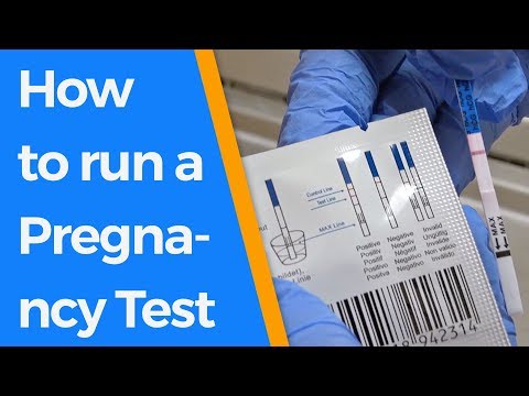 How to run a Pregnancy Test