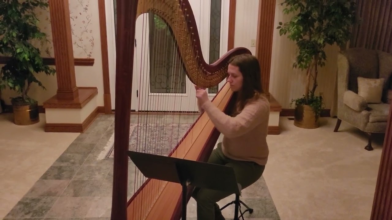 Promotional video thumbnail 3 for The Legal Harpist