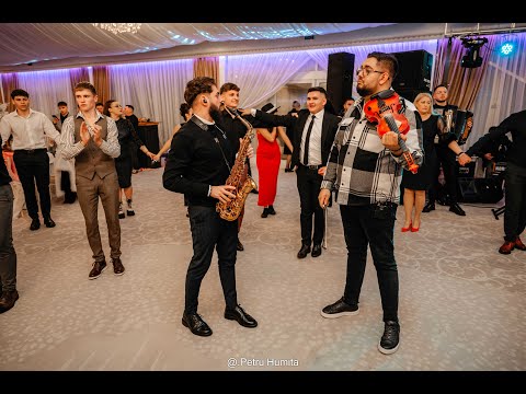 Stana Stepanescu  & Boji & Banat Express ❌ Colaj Ardeleana Live❌ Majorat Darius