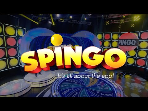 Spingo Promotional Video