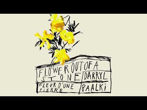 LIMITED PREMIERE: Darryl Baalki - Flower Out Of A Stone