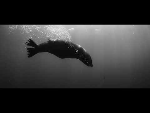 Voodoo Beach - Angst (official video)