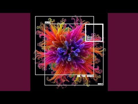 On the Wings (Original Mix)