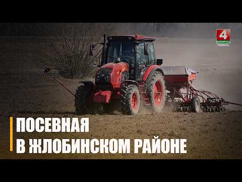 Больш за 7 000 гектараў ранніх яравых засеялі на Гомельшчыне
