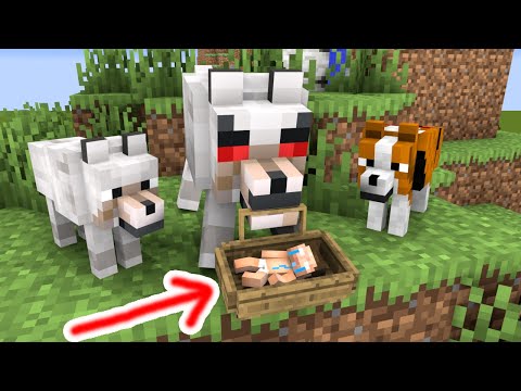 Baby Herobrine Became a Jungle Man After Being Abandoned - Minecraft Animation
