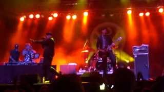 Down With Webster- Professional