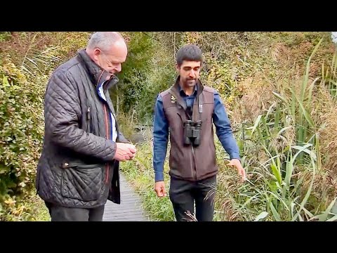 Wicken Fen on ITV Anglia News (8 Oct 2025)