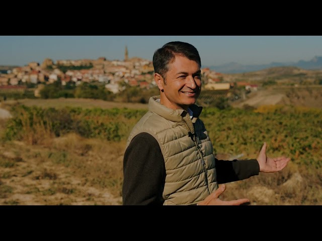 Vídeo relacionado con Vivanco Crianza: Vino tinto rojo picota con ribete granate, aromas de fruta roja, regaliz y especias dulces. Ligero (Pack de 2 Botellas)