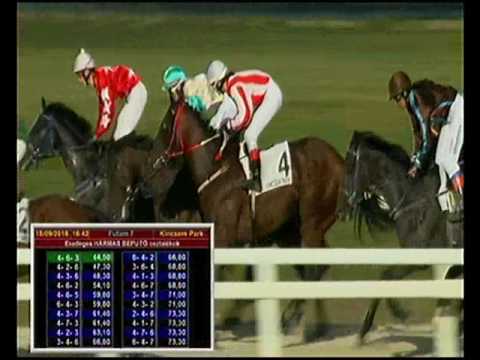 Németh Ferenc EK HP 1600m