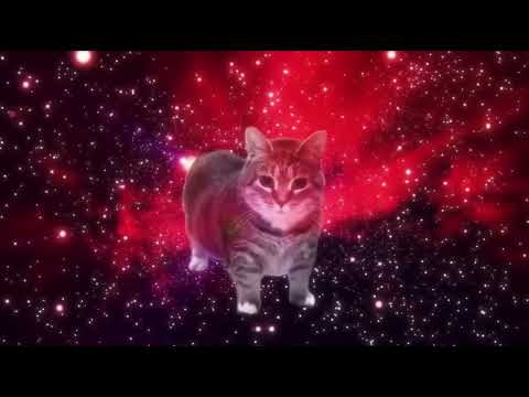 Spinning Cat remix (30 min long)