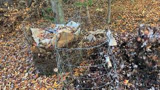 compost turning