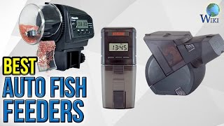 5 Best Auto Fish Feeders 2017