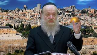 הרב יוסף בן פורת - האם גזלנו מהערבים את ארץ ישראל? (HD1080p) - הרצאה מדהימה!