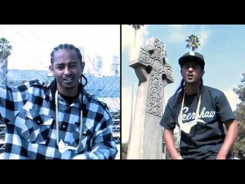 ROLL (OFFICIAL) - SANDMAN NEGUS