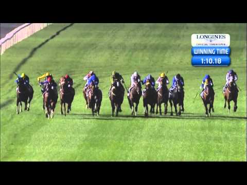 16.02.2013 Meydan (Dubai-UAE) 3.Race Al Basti Equiworld Bluefrog Trophy - 1.200 m