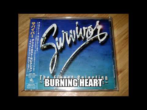 Survivor - The Finest Selection～The Search Is Not Over Yet～