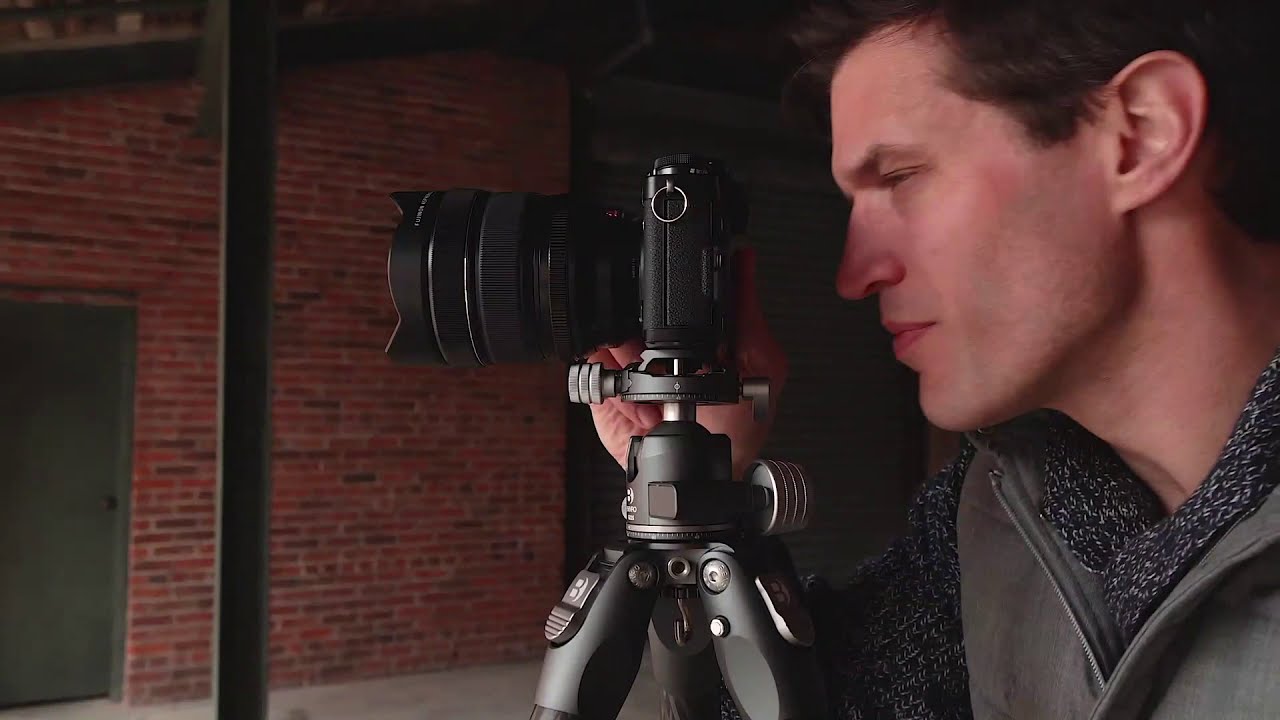 Штативная голова Benro GX30 Dual Panoramic/Arca-swiss style шаровая