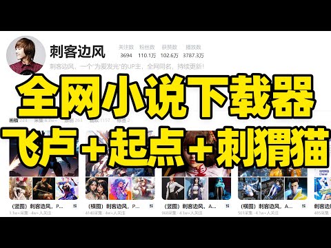 【978】刺客边风！全网小说下载器，免费看小说软件！飞卢起点纵横刺猬猫笔趣阁网站，网络小说推文轻小说资源在线阅读搜索下载工具，txt电子书收藏，电脑安卓ios手机看书读书！