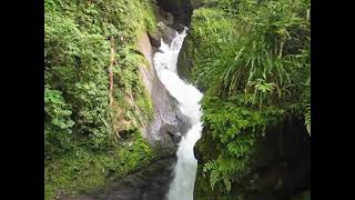 preview picture of video 'Sendero Rio Maria, Altos del Maria, Sora, Panama -- upper part'
