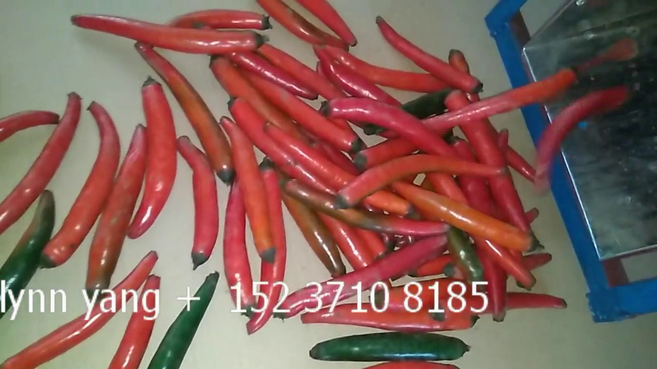 fresh chili stem  / tail cutting machine