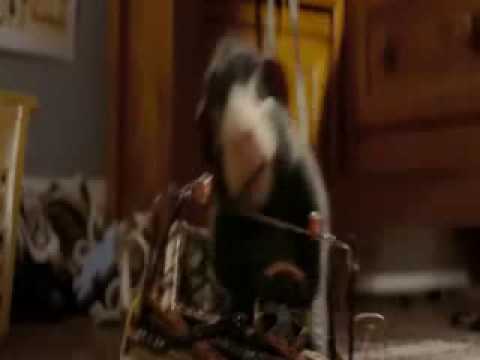 G force Japanese theme song