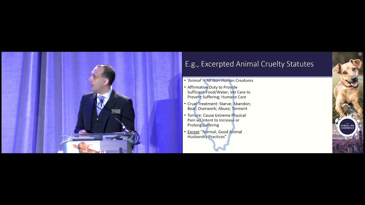 Pasture to Prosecution: Using the Power of Anti-Cruelty Laws to Protect Farmed Animals