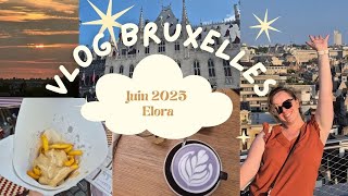 DIRECTION BRUXELLES ! Frites, gauffres, shopping livres, Bruges - Sunday Vlog épisode 6