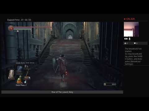 DS3 Run Pt. 41