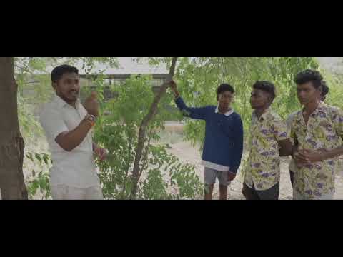 Teaching Sustainable Agriculture to Youth