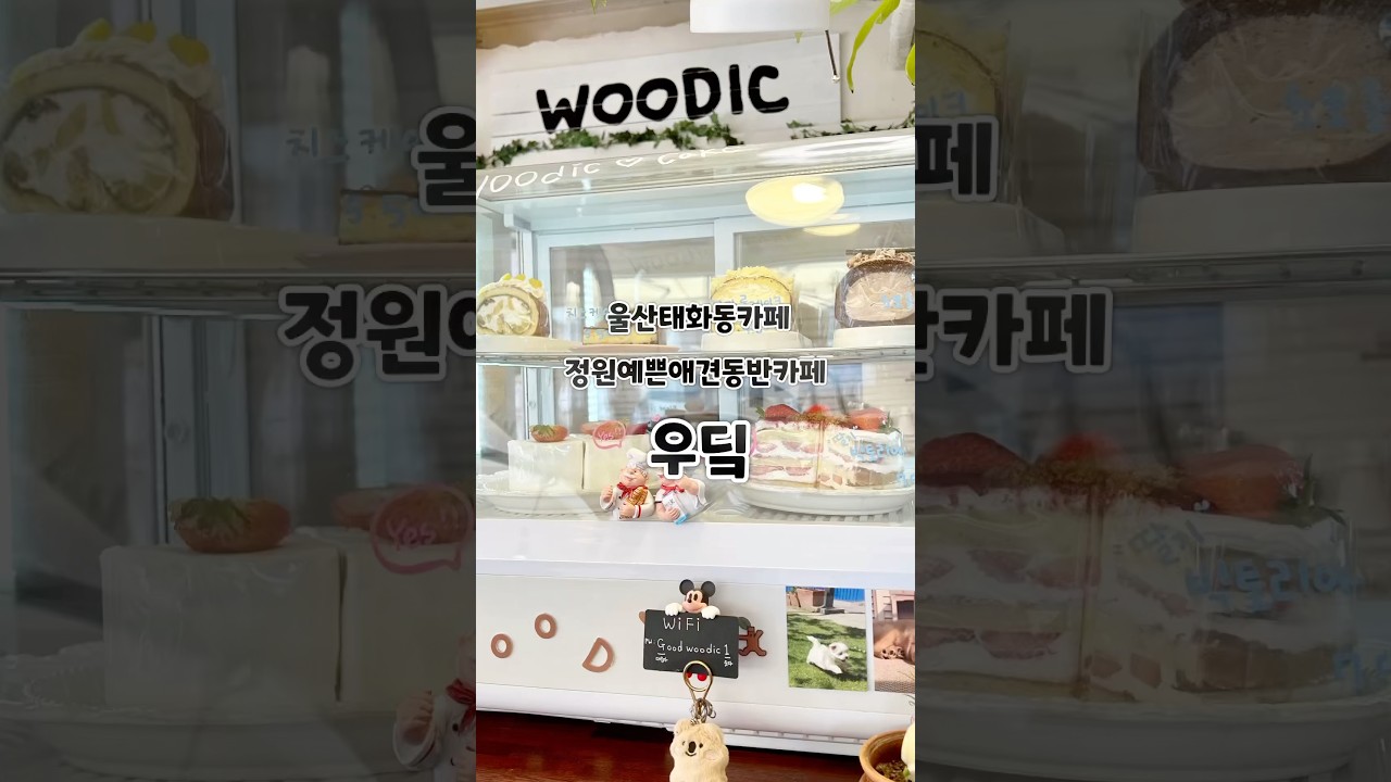 우딬 WOODIC 외관과 정원 좌석 - 태화동 가족·반려견 카페