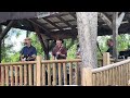 Sim Redmond Band - Good Thoughts