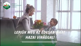 Anyák napjára készülve: a virágüzletek korlátozás nélkül nyitva tarthatnak!