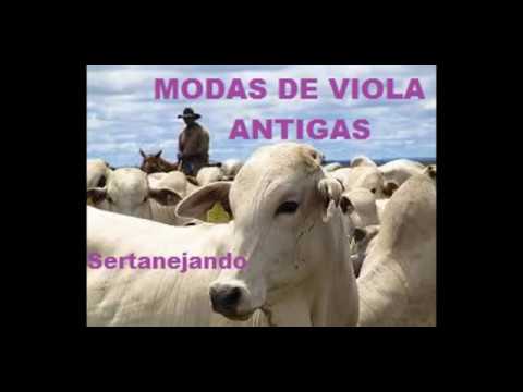 MODAS DE VIOLA